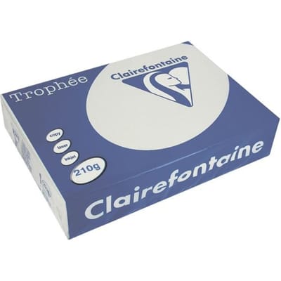 Clairefontaine Trophée Pastel, gekleurd papier, A4, 210 g, 250 vel, lichtgrijs