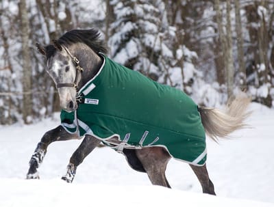 Rambo Original Turnout Heavy met beenuitsparingen 400g - Groen - 130-183 cm