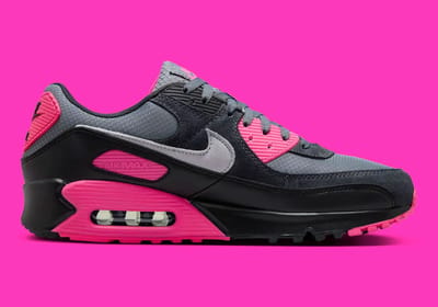 Lage Sneakers Nike Baskets Air Max 90 air visible