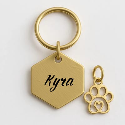 Hondenpenning | Kattenpenning | Huisdierpenning inclusief graveren | Zeshoek Hondenpenning Goud inclusief Bedeltje | Hond | Kat | Petshop Seven