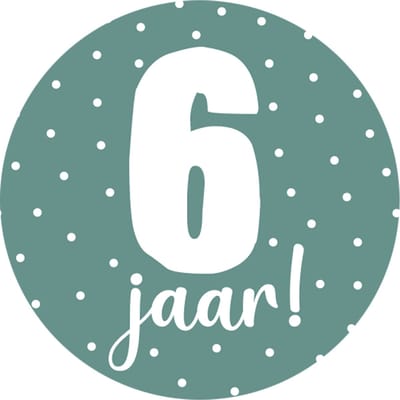 Sticker 6 jaar groen - traktatie sticker verjaardag - basisschool kind - kinderfeestje - 20 stuks