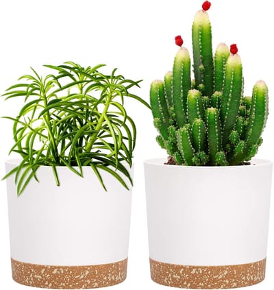 Famanu - Set van 2 moderne plantenpotten 12,7 cm met drainage wit
