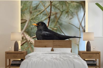 Behang - Fotobehang Vogel - Merel - Takken - Dieren - Breedte 300 cm x hoogte 300 cm