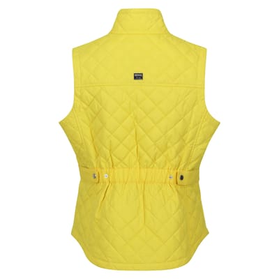Regatta Dames/Dames Carmine Gilet (Maïs Geel)