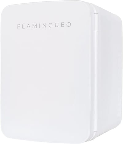 Mini Koelkast 10L - Draagbare Koelkast voor Cosmetica en Voedsel met Warm en Koud Functie
