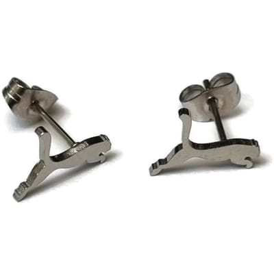 Aramat Jewels | Oorbellen | RVS Dieren Oorbellen Diverse Motieven - Dierenliefhebber Oorstekers | Poema/Zilverkleurig-8x12mm | |8mm | Staal | Kinderen, Volwassenen | Verkleurd niet