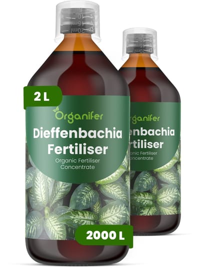 Vloeibare Meststof Voor Dieffenbachia 2X1 L Voor 2000 L - Npk 3-4-3 - Krachtige Groei - Sterke Bladontwikkeling - Sterke Stengels - Compacte Groei - Weerstand - Bladvernieuwing - Geschikt Voor Alle Dieffenbachia-Soorten En Hybriden - Organifer