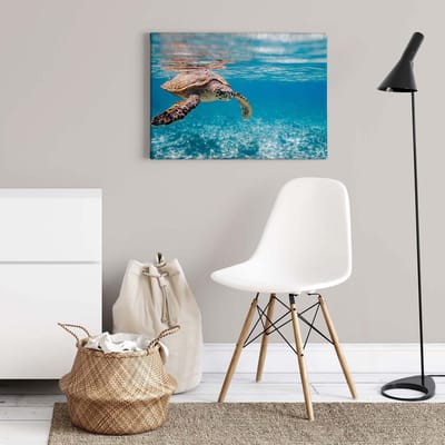 Canvas print DD123046 TravelingTurtl A.S. Création 0,7 x 0,5 m Turkoois Kantoor Hal/Gang Keuken Slaapkamer Woonkamer