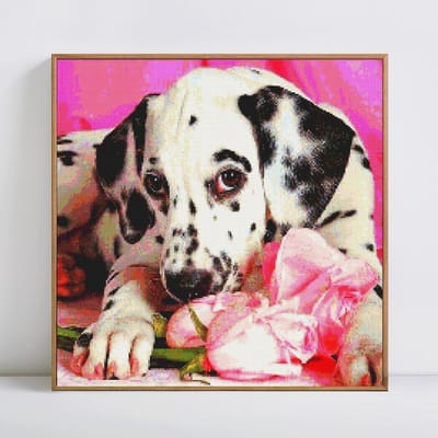 5D DIY diamant schilderij volledige ronde dier borduurwerk verkoop hond diamant mozaïek foto van strass 40x40