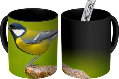 Magische Mok - Foto op Warmte Mokken - Koffiemok - Vogel - Koolmees - Dieren - Groen - Magic Mok - Beker - 350 ML - Theemok