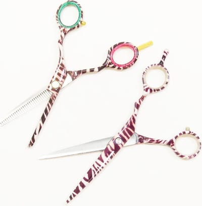 Guardian Beauty Scharenset - 6 Inch - Roestvrij Staal - Rechtshandig - Kappersgereedschap