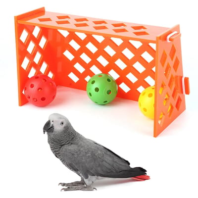 Perroquet de compagnie Mini Terrain de Football Oiseau Entraînement Bureau Éducatif Puzzle Intelligence