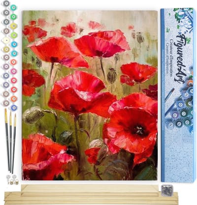Figured'Art Schilderen op Nummer Volwassenen canvas Veld met klaprozen - Handwerk acrylverf Kit DIY Compleet - 40x50cm met DIY houten lijst
