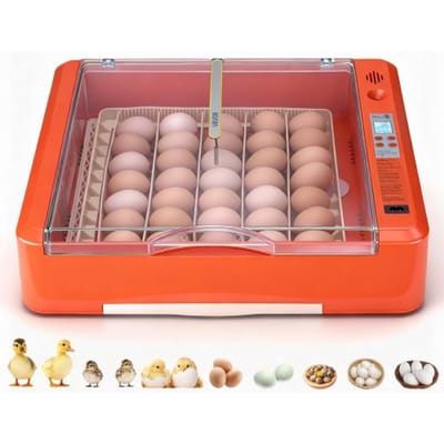 VEVOR Volautomatische broedmachine voor 36 eieren met eierkeerder, temperatuur- en vochtigheidsregeling, broedmachine voor het uitbroeden van kuikens, eenden, ganzen en kwartels.