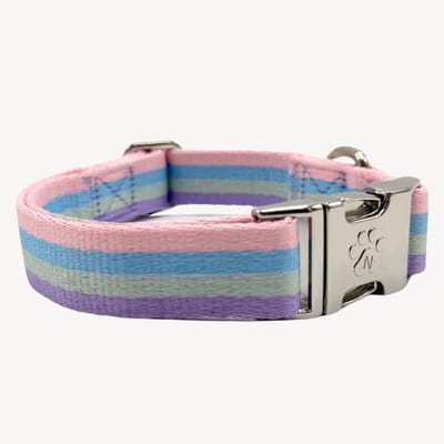 Regenboog - Halsband Hond - L- 42 / 68 cm