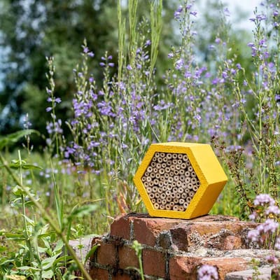CJ Wildlife Insectenhotel - Matias - Rond Bijenhotel - Insectenhuis voor o.a. Bijen, Hommels & Lieveheersbeestjes - Bijenkast met Vervangbaar Bamboe Huisje - Geel