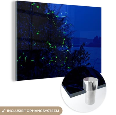 ® Glasschilderij 180x120 cm - Schilderij acrylglas - Vuurvliegjes boven de oever van een rivier in Japan - Foto op glas - Muurdecoratie woonkamer - Wanddecoratie slaapkamer - Schilderijen