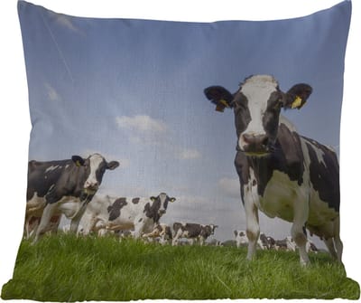 Tuinkussen - Koeien - Gras - Dieren - Zon - Boerderij - 40x40 cm - Weerbestendig