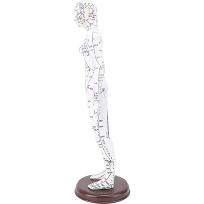 52cm Acupunctuur Model Menselijk Lichaam Model Volledig Lichaam Acupunctuur Model Met Basis voor Studentenonderwijs female version
