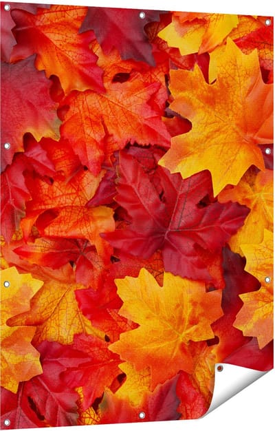 Gards Tuinposter Herfstbladeren in het Oranje en Rood - 90x120 cm - Tuindoek - Tuindecoratie - Wanddecoratie buiten - Tuinschilderij