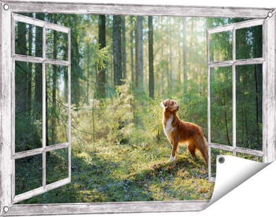 Gards Tuinposter Doorkijk Retriever Hond in het Bos met Zon - 90x60 cm - Tuindoek - Tuindecoratie - Wanddecoratie buiten - Tuinschilderij