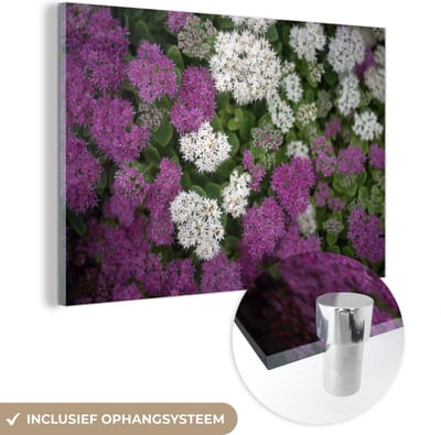 ® Glasschilderij 180x120 cm - Schilderij acrylglas - Mix van hemelsleutel bloemen - Foto op glas - Muurdecoratie woonkamer - Wanddecoratie slaapkamer - Schilderijen