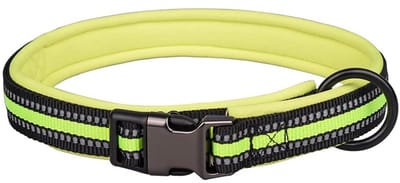 Cosensi- Halsband Reflecterend - Verstelbare Nylon Halsband - Zacht Neopreen Gevoerd - Roestvrij Stalen Sluiting - Voor Kleine/Middelgrote/Grote Honden - XS Fit Hals 25-32cm - Hondenhalsband