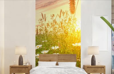 Behang - Fotobehang Bloemen - Madelief - Natuur - Zon - Horizon - Breedte 120 cm x hoogte 240 cm