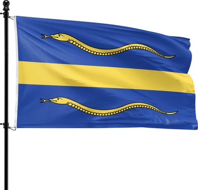 VlagDirect - Pijnacker-Nootdorp vlag - Gemeente Pijnacker-Nootdorp vlag - 90 x 150 cm.