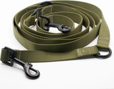Nylon handsfree riem groen - 240 cm x 2 cm - honden riem - handsfree riem hond - verstelbaar - gepersonaliseerd - hondenriemen - halsband - hond - hondenhalsband met naam - halsbanden, riemen & tuigen - Trimmi