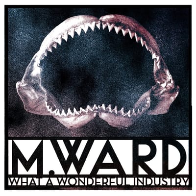 M. Ward - What A Wonderful Industry (CD)