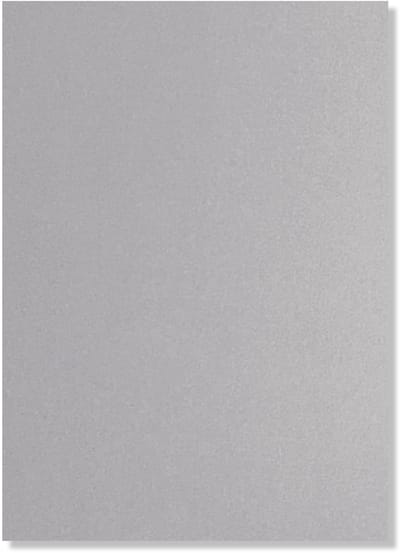 Cards & Crafts 100 x Hobbykarton Licht Grijs - A4 - Hobbypapier - Cardstock 29,7x21cm - 250g/m²