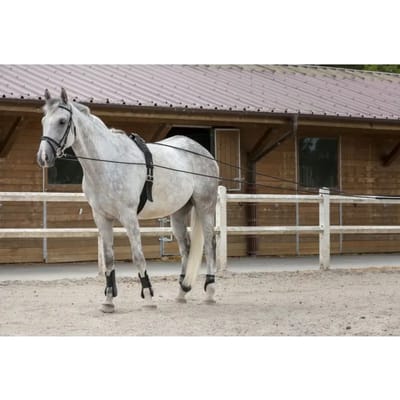 Leder touw voor paarden Riding World