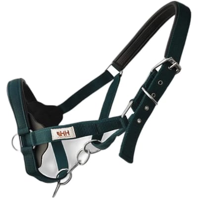 Halster voor paarden Hispano Hipica