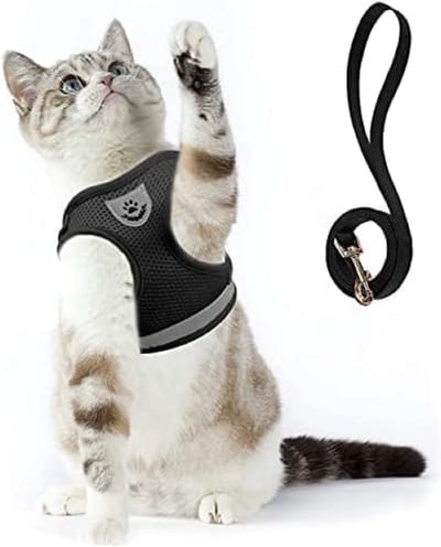 Kattentuigje, onbreekbaar, kattenriem met tuigje voor katten, zacht kattenvest met riem, voor kitten, honden, chihuahua (S, zwart)