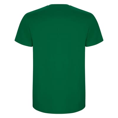 Roly Heren Stafford T-Shirt (Kelly Groen)