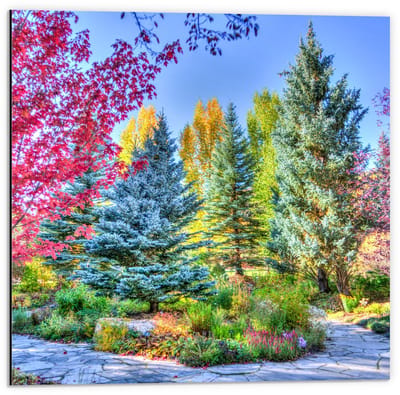Dibond - Gekleurde Bomen bij Elkaar - 50x50cm Foto op Aluminium (Met Ophangsysteem)
