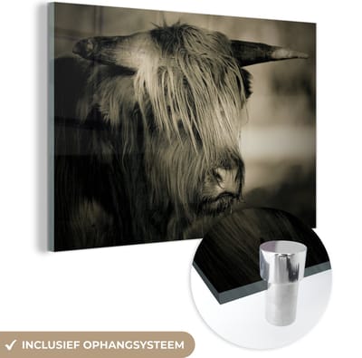 MuchoWow® Glasschilderij 120x80 cm - Schilderij acrylglas - Schotse Hooglander - Dieren - Haar - Foto op glas - Schilderijen