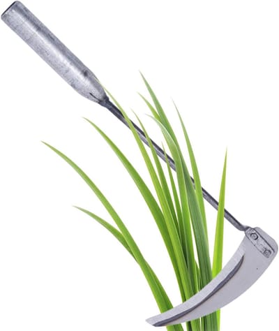 Tuinhak - Schoffel Wieden - Onkruid Verwijderen - Robuust Smeedijzer - 30 x 16 x 6 cm - Zilver