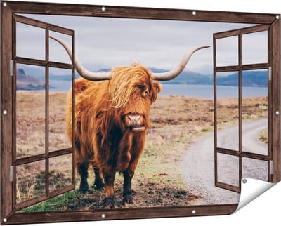 Gards Tuinposter Doorkijk Schotse Hooglander Koe op de Weg - 150x100 cm - Tuindoek - Tuindecoratie - Wanddecoratie buiten - Tuinschilderij