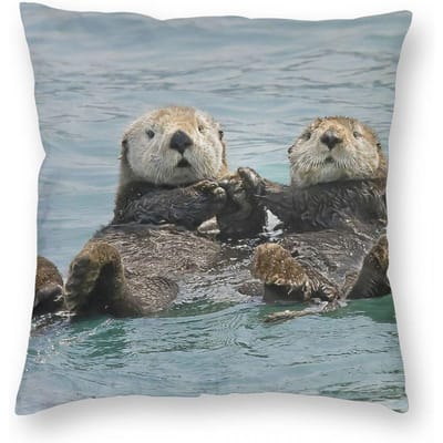 Zeeotters Vierkante Kussensloop Polyester Linnen Fluweel Creatieve Rits Decoratieve Sierkussenhoes Bank Kussenhoes Short plush 55*55(CM)-1Pcs