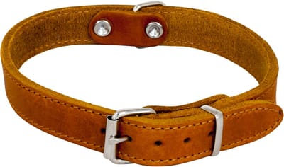 Jack And Vanilla - Halsbanden - Vetleder Halsband - Cognac - 30mmx60cm 45/7206 - 177455