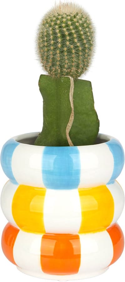 Balvi Bloempot Meerkleurig Keramiek 12cm