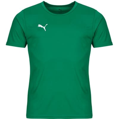 PUMA Sportshirt Heren - teamRISE - Groen - Polyester