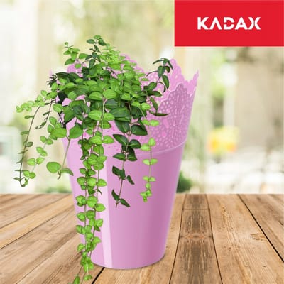 KADAX Puntige bloempot van kunststof, 9 kleuren, bloempot met kantmotief, bloempot bescherming voor kantoor, pot, tuinschaal, bloembak, bloempot (diameter 12 cm, hoog, roze)