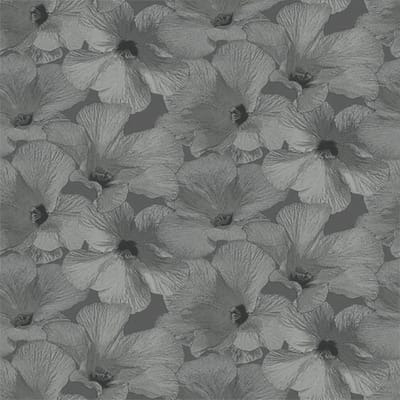 Annuell Hibiscus grijs 11003