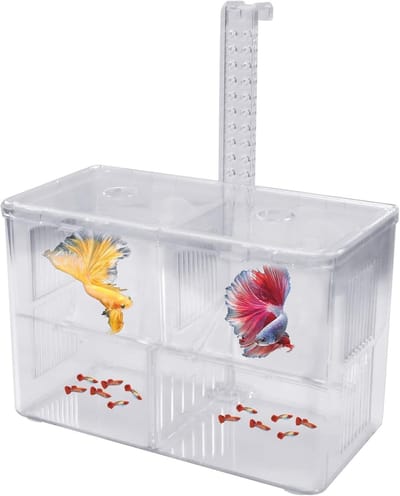 Transparante Kweekbox voor Aquariums met Zuignappen - Ideaal voor Garnalen en Jonge Vissen, Visopslag en Kweektray