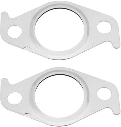 Dailygoods - EGR Klep Gasket Set - RVS Blanking Plate - Voor Mitsubishi L200 - Kwaliteit Gasket - Betrouwbare Onderdelen - Geschikt voor Mitsubishi L2