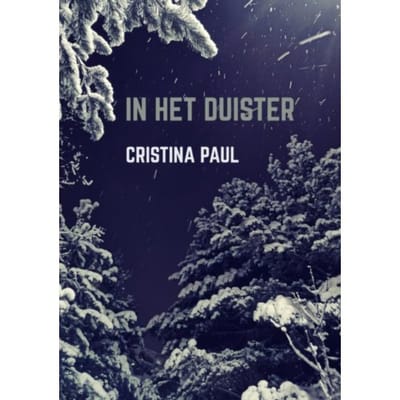 In Het Duister - Cristina Paul