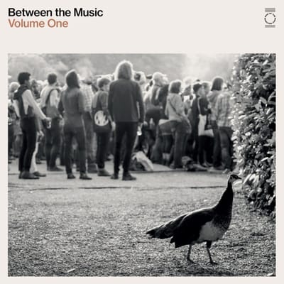 Various Artists - End Of The Road Presents: Between The Music (2 LP)